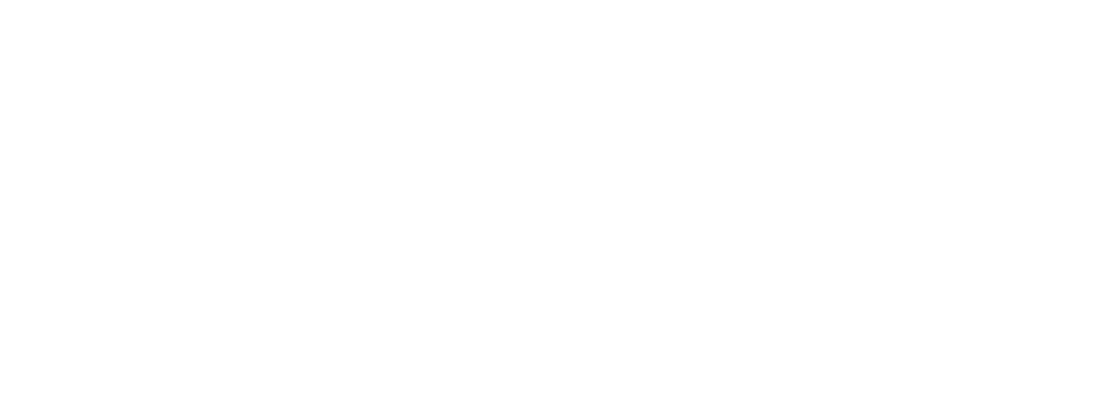 Al doilea logo