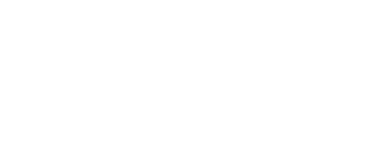 Renault – Piatra Neamt Logo